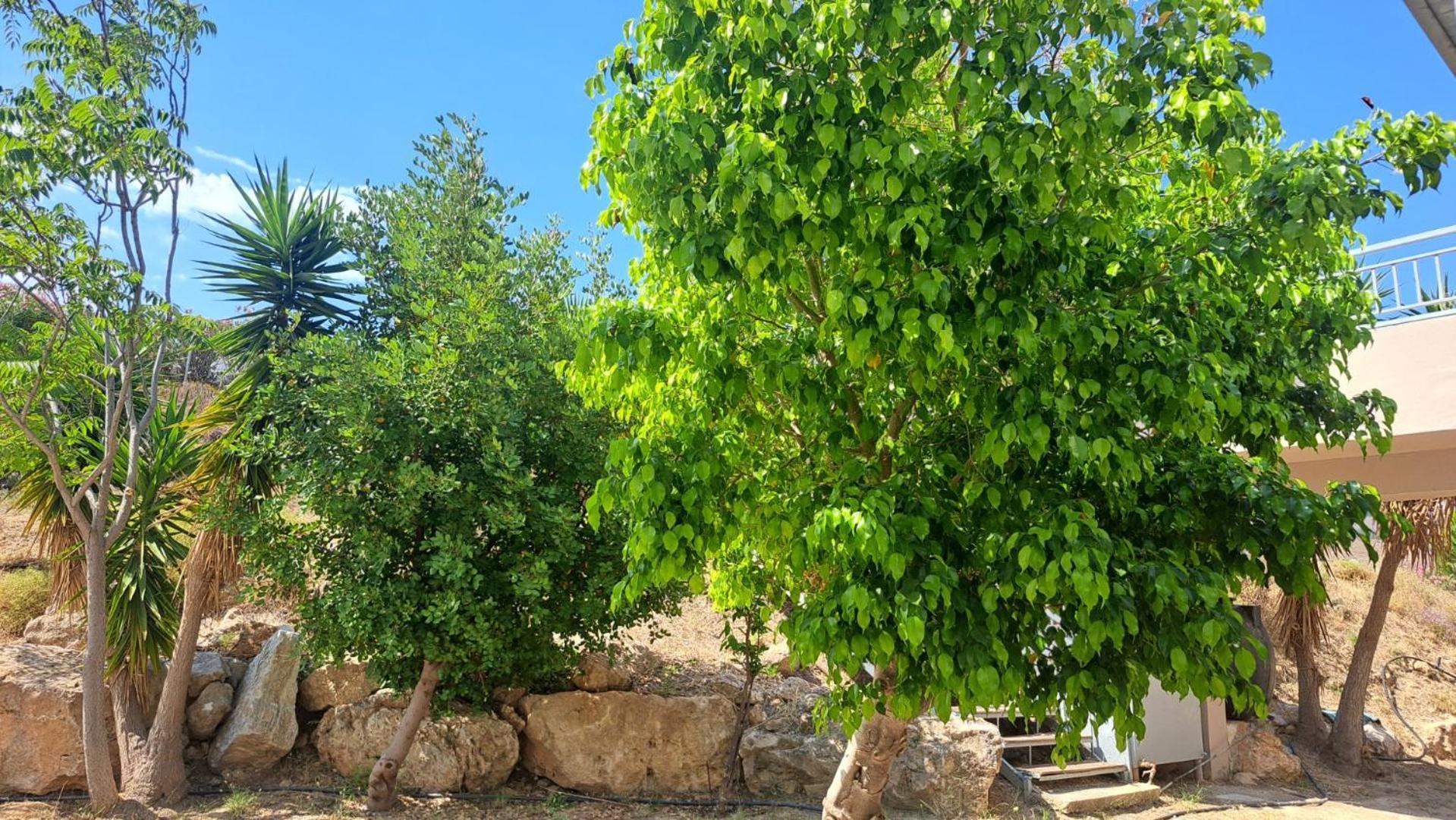העיירה קוס Hercules Hills Sea View Villas מראה חיצוני תמונה